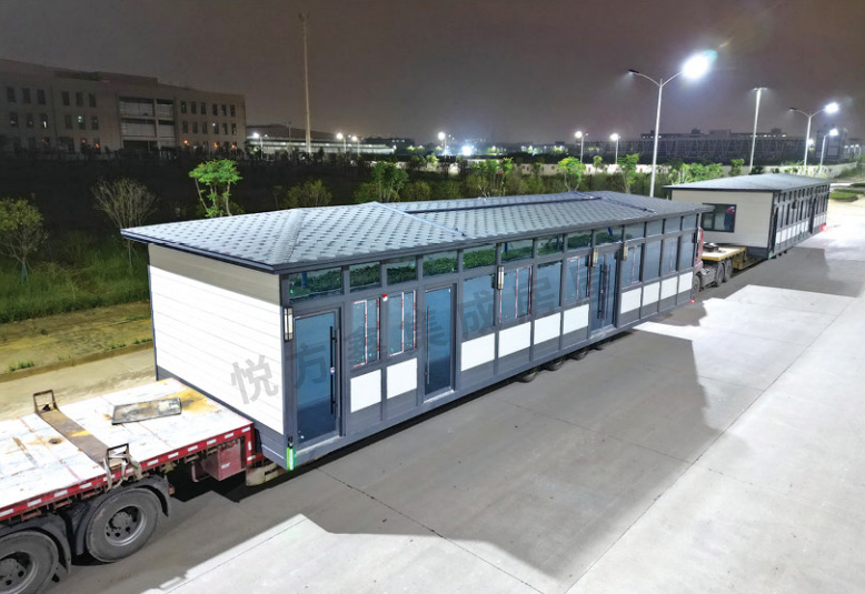 1737019088590881.jpg 1736753432918993.jpg